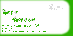 mate amrein business card
